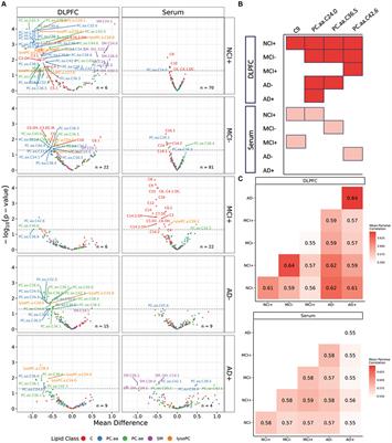 Brain and serum lipidomic profiles implicate Lands cycle acyl chain remodeling association with APOEε4 and mild cognitive impairment